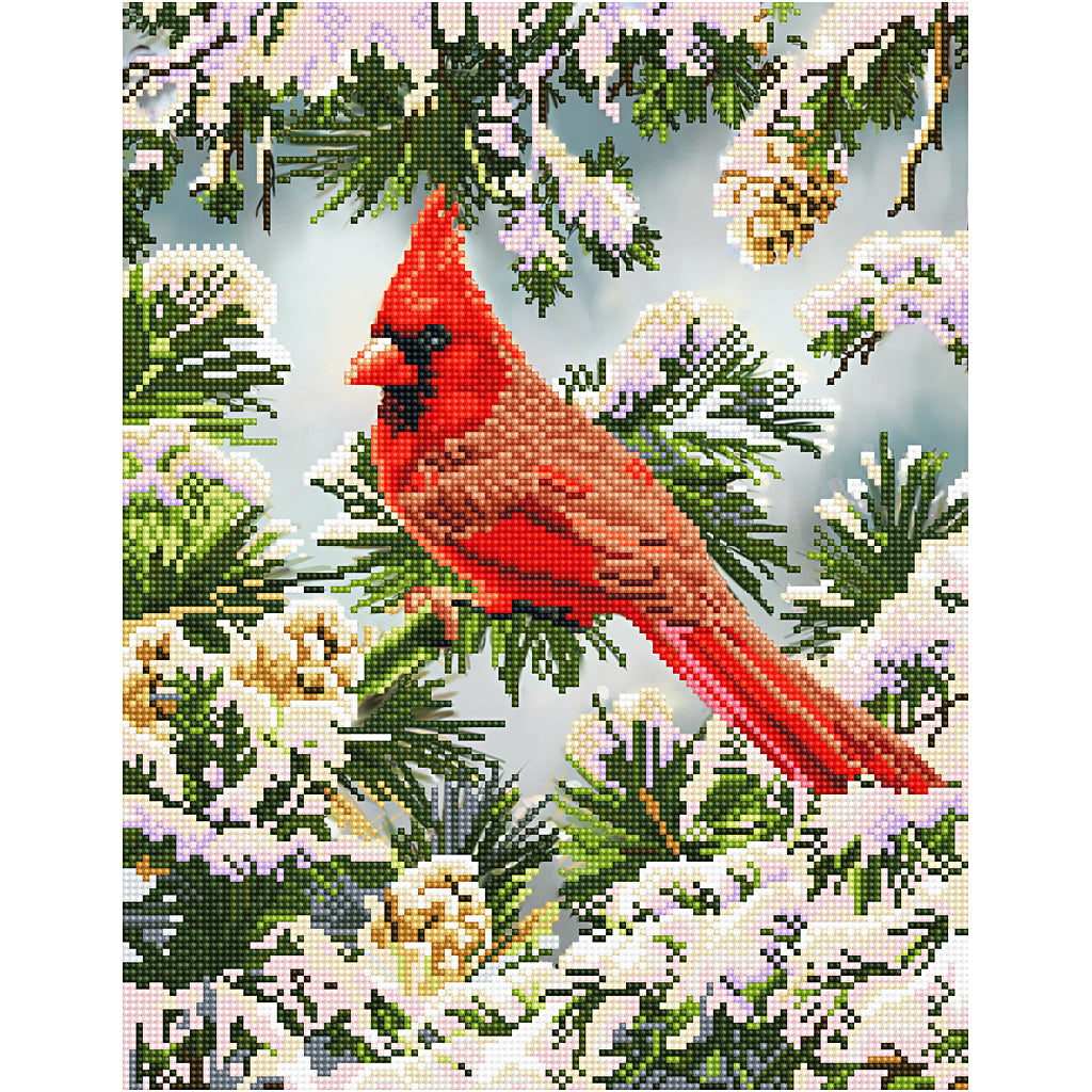 Diamond Dotz, Good Fortune Cardinal, size 35,5x45,7 cm, 1 pack-boobam