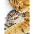Diamond Dotz, Tender moment, size 35,5x45,7 cm, 1 pack-boobam