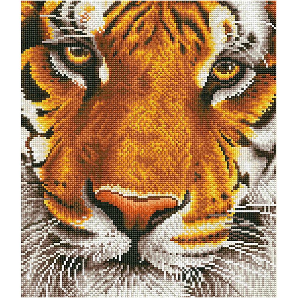 Diamond Dotz, Bengal magic, size 36x42 cm, 1 pack-boobam