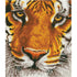 Diamond Dotz, Bengal magic, size 36x42 cm, 1 pack-boobam