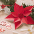 DIY decorating kit, Christmas, natural, red, white, 1 pack-boobam