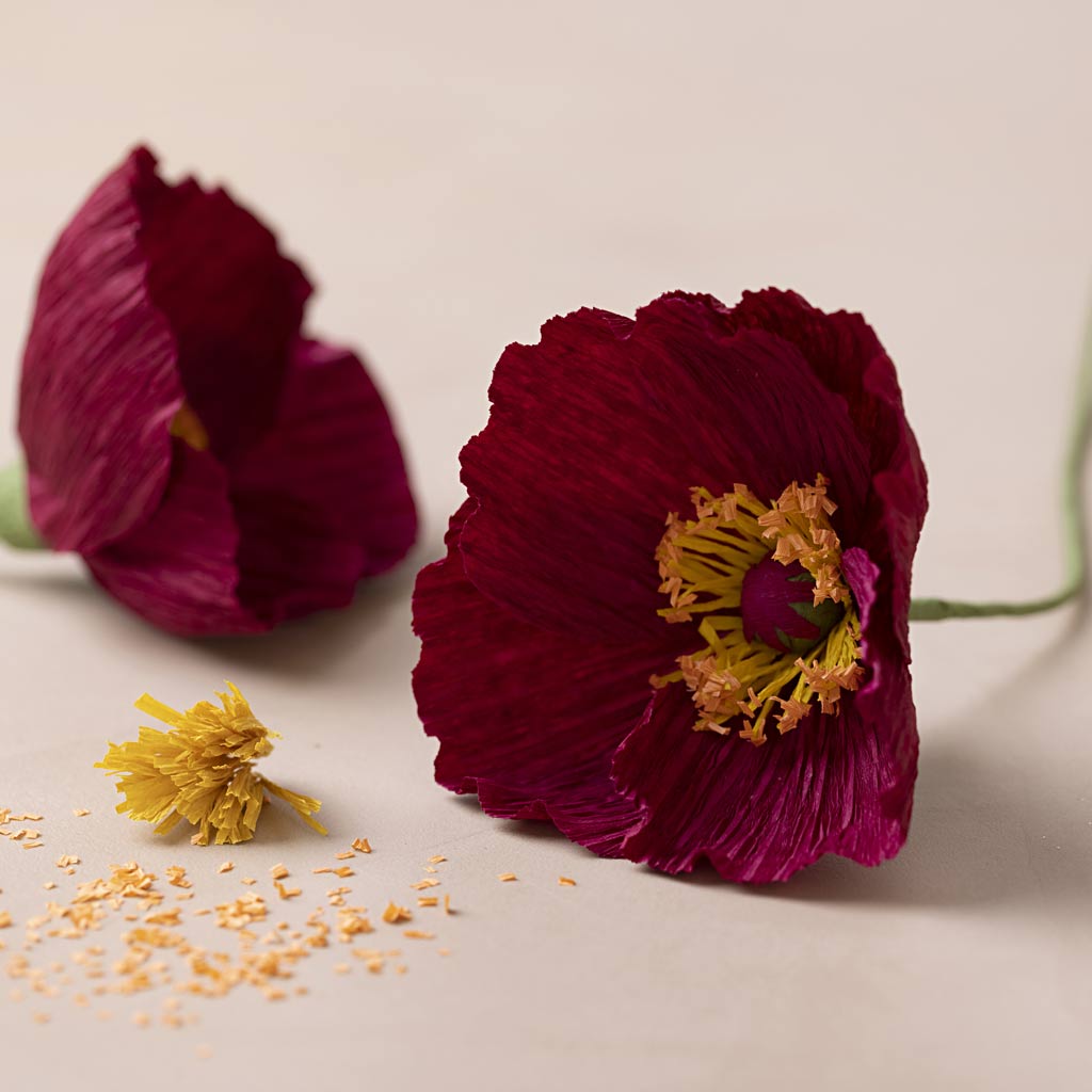 Mini Craft Kit Crepe Paper, Poppies, Crêpe ratio: 180%, 105 g, 1 pack-boobam