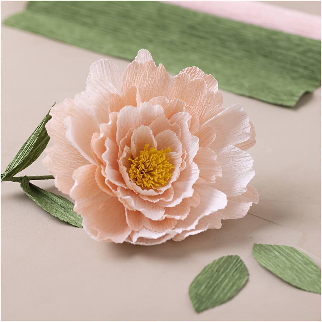 Mini Craft Kit Crepe Paper, Peony, Crêpe ratio: 180%, 105 g, 1 pack-boobam
