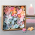 Craft Kit Modelling, Flowers, pastel colours, 1 pack-boobam